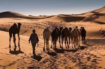 From Marrakech : 4 days Desert Tour to Merzouga & Zagora