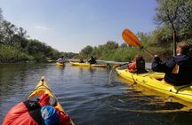 Belgrade War Island Kayak Tour