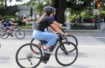 Electric Bike Tour of Manhattan and the Waterfront Greenway