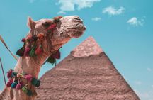 Camel Ride at Giza Pyramids during sunset
