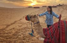Private Desert Safari With Sand Boarding Quad bike and Camel Ride BBQ Dinner