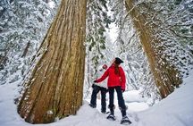 Medicine Trail Snowshoe Tour 