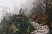 Jungle Trail to Machu Picchu (mountainbiking, rafting, ziplining) - 3 day tour