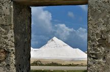 South island tour and Snorkel combo 