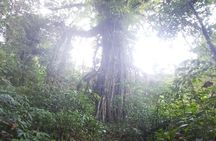 Explore Twin Lake Jungle Trekking and Canoeing 