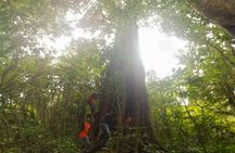 Bali Jungle Trekking and Lake Canoeing Tour