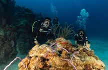 Discover Culebra: 2-Tank Scuba Diving