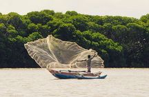 Private 6-Day Sightseeing Tour around Sri Lanka