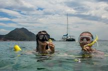 Marine Discovery + Snorkeling Cruise - Port Stephens
