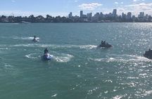 Miami Jet Ski Rental: chase the Ocean, ride the Waves