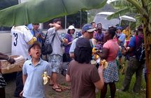 Two-hour Tour and Beach Break Family Groups only