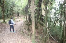 3 Night 4 Days Mardi Himal