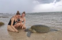 14 Days Tour in Sri Lanka (Hotels with Breakfast & Luxury Car)