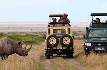 6 Days Amboseli, Lake Naivasha & Masai Mara Safari