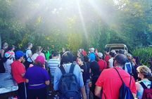 Volcano Caldera (Mt. Liamuiga) Trek / Hike