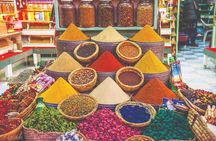 Taroudant half day excursion from Agadir