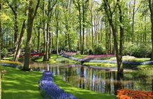 Private Half-Day Trip From Amsterdam to The Tulip Fields in Keukenhof
