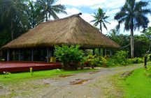 Port of Suva - Private Tour
