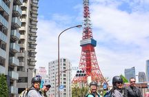 Tokyo Guided Small-Group Biking Tour