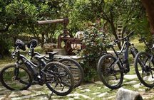 Kea Food-e-bike Tour