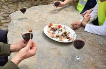 Kea Food-e-bike Tour