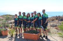 Medieval Towns & Roman Ruins Bike Tour