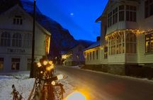 PRIVATE GUIDED TOUR: The Heart of Norway – Viking Special, 8-9 hours – WINTER