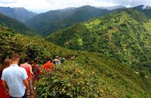 Coffee Tour Daytrip at Finca La Manchuria - Exclusive Experience.