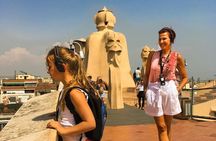 Gaudi houses Private Tour: La Pedrera & Casa Vicens skip-the-line