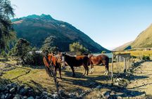 Humantay Lake Tour Full Day from Cusco