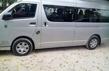 Montego Bay Shore Excursion: Private Custom Sightseeing Tour