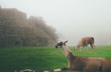 Short Inca Trail to Machu Picchu 2D/1N - Private Service