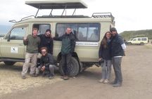 godsonadventures-plains2peaks Ltd