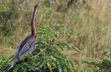 3 Day Murchison Falls N.p. & Ziwa Rhino Sanctuary 