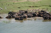 3 Day Queen Elizabeth National Park