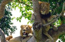 3 Day Queen Elizabeth National Park