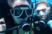 Introductory Scuba Dive experience - Whitetip Marine Adventures 