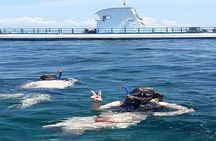 Nusa Penida Trip with Snorkeling all-Inclusive