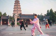 Private Amazing Xi'an City Day Tour in Your Way
