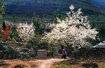 2 Days Sapa Trekking In Cat Cat And Ta Van Village From Hanoi