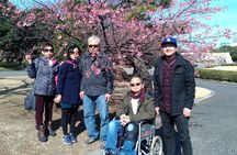 Tokyo Japanese Garden Lover's Private Tour with Government-Licensed Guide