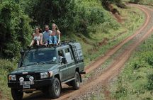 5 Days Aberdares Lake Nakuru & Masai Mara Wildlife Safari