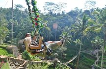 Ubud Trip, The Best of Ubud in a day - All Inclusive 