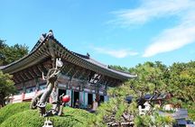 Small group Busan Highlights Tour with Hotel pickup and dropoff