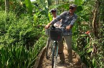 Cai Rang Floating Market Private Day Tour from Ho Chi Minh city