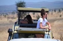 3 Days to Mikumi National Park From Dar es salaam