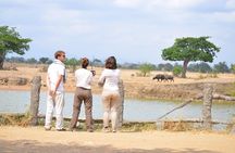 5 Days Travelling Southern Tanzania 