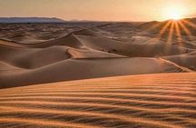 Morning Desert Safari