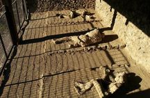 2-Hour Small-Group Experience with an Archaeologist Guide