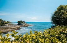 Best of Bali Half Day Tour: Monkey Forest & Tanah Lot Sunset (All Inclusive)